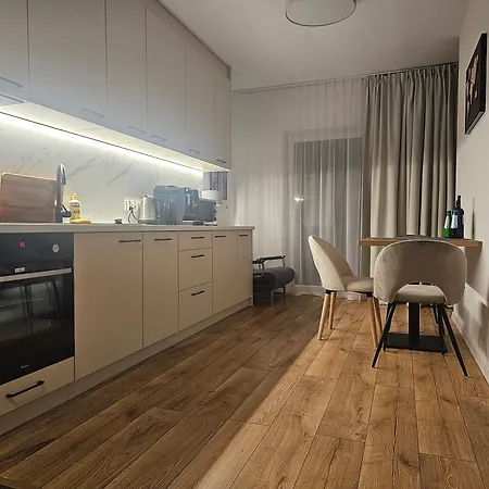 Sense New - Main Station And Center Apartmán Vratislav