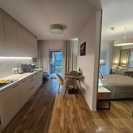 Sense New - Main Station And Center Apartmán Vratislav